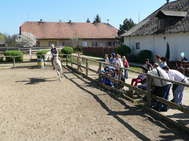 Otvorenie sezny hipoterapie